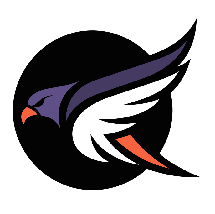 Valken PRO logo